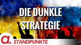 Die dunkle Strategie | Von Wolfgang Effenberger by apolut