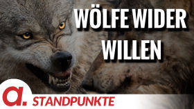 Wölfe wider Willen | Von Rudolf Hänsel by apolut