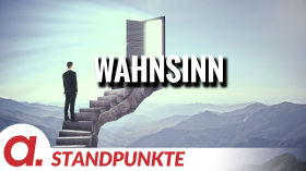 Wahnsinn | Von Rüdiger Lenz by apolut
