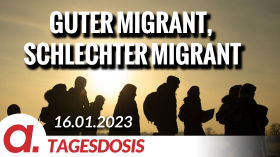 Guter Migrant, schlechter Migrant | Von Hannes Hofbauer by apolut