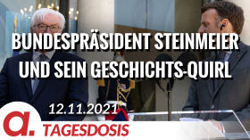 Bundespräsident Steinmeier und sein Geschichts-Quirl | Von Willy Wimmer by apolut