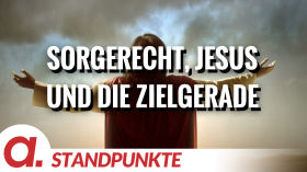 Sorgerecht, Jesus und die Zielgerade | Von Dr. Herthneck, Peter Hahne und Hendrik Sodenkamp by apolut